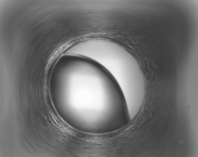 X0000086300293200703300936