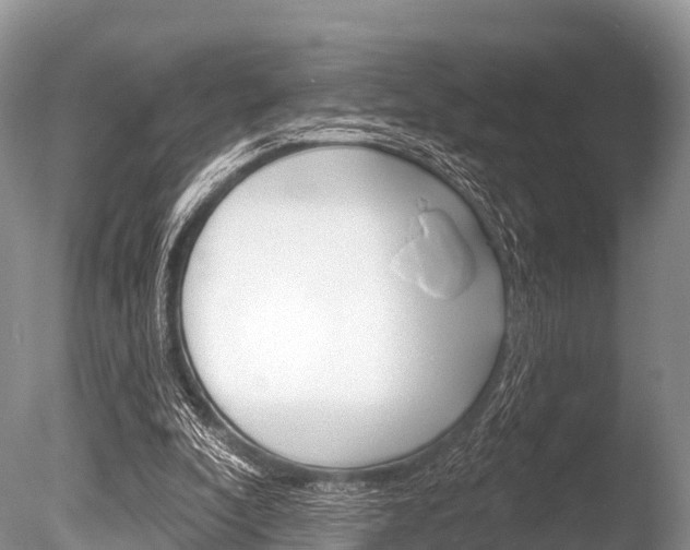 X0000086300296200703300936