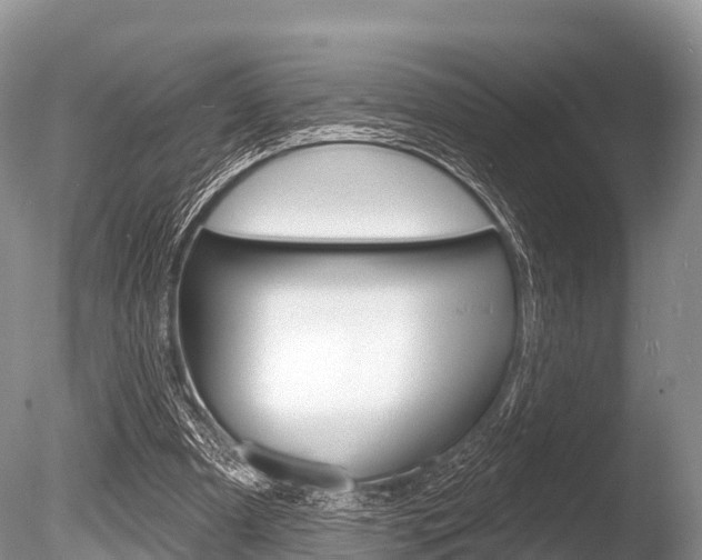X0000086300297200703300936