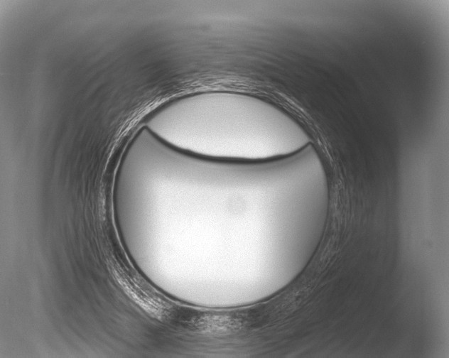 X0000086300298200703300936