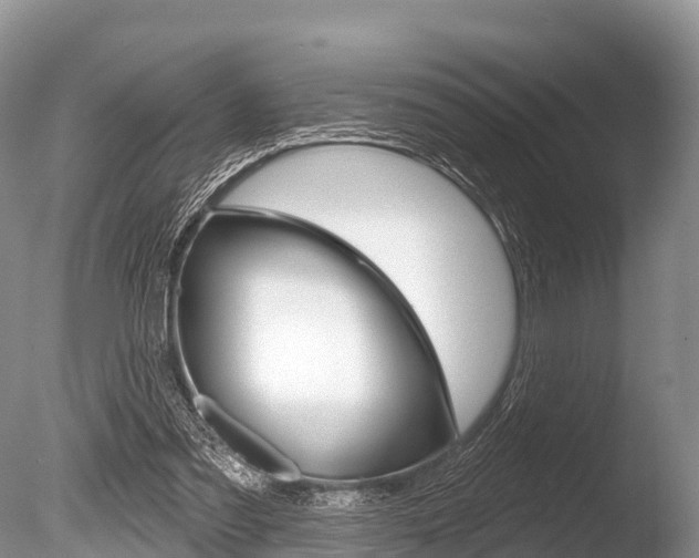 X0000086300301200703300936
