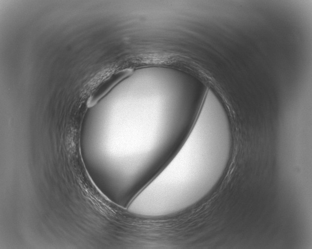X0000086300305200703300935