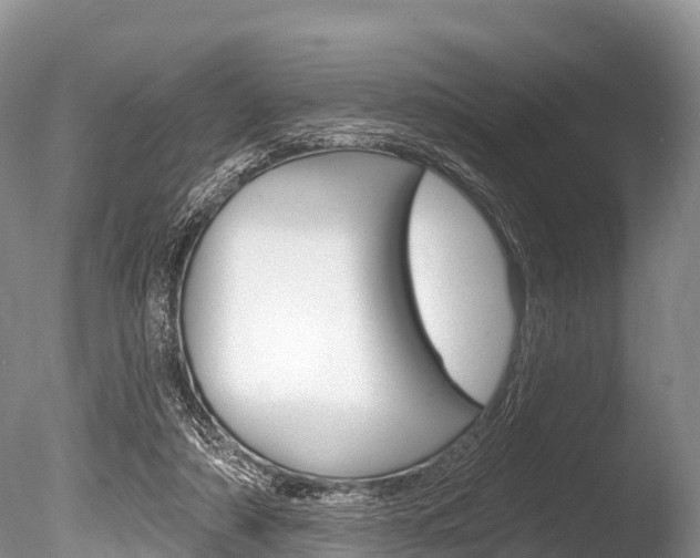 X0000086300306200703300935