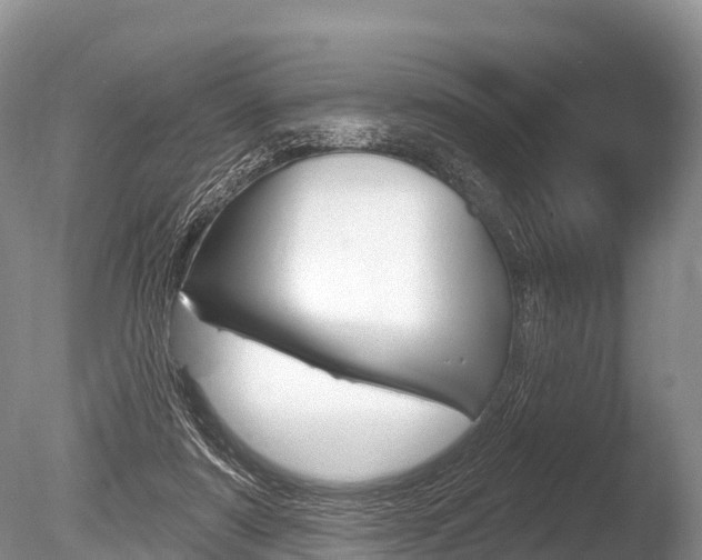 X0000086300307200703300935