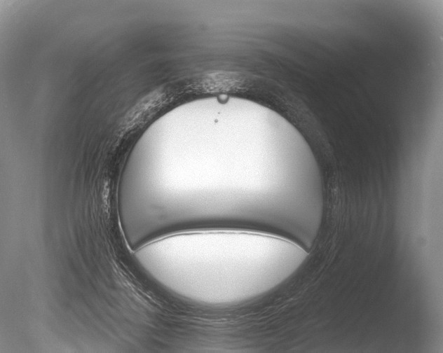 X0000086300308200703300935