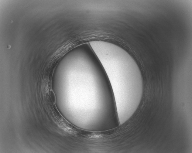X0000086300313200703300935