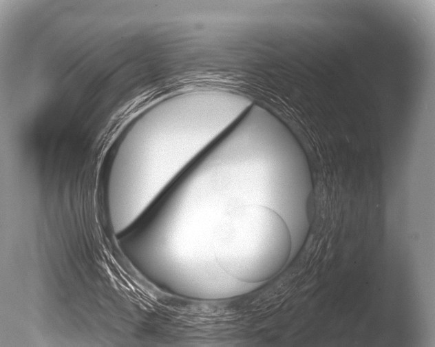 X0000086300338200703300934