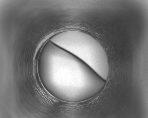 X0000086300342200703300934