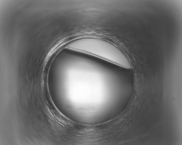 X0000086300344200703300934
