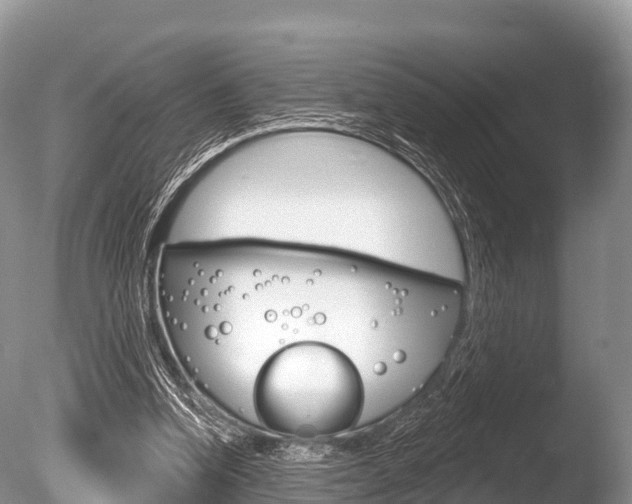 X0000086300346200703300934