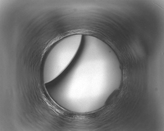 X0000086300349200703300934