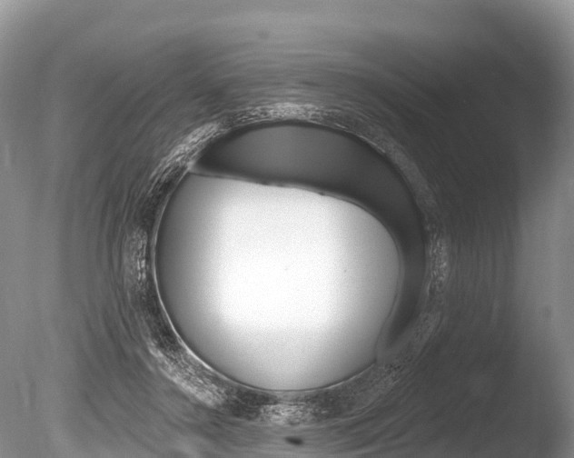 X0000086300356200703300934