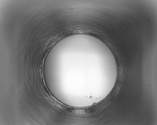 X0000086300361200703300934