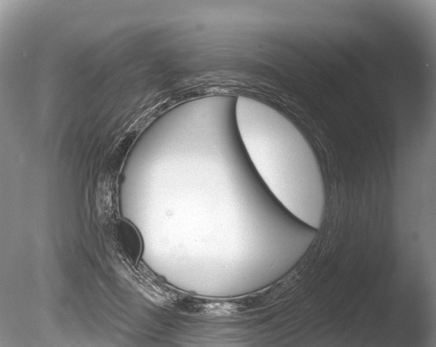 X0000086300363200703300935