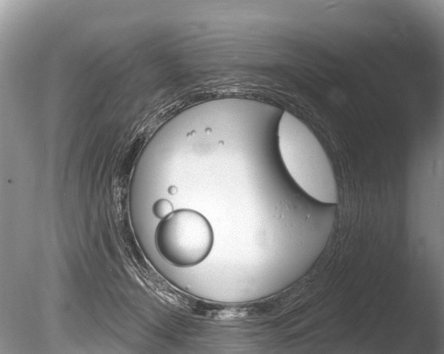 X0000086300366200703300935