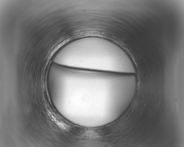 X0000086300390200703300934
