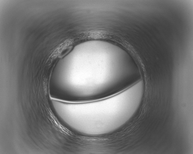 X0000086300393200703300934