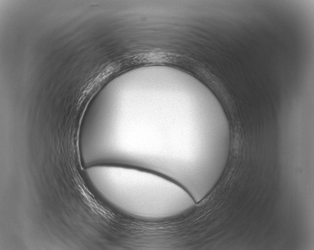 X0000086300394200703300934