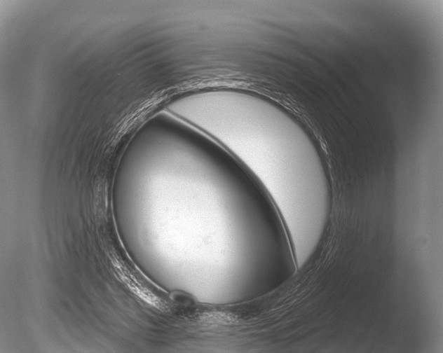 X0000086300397200703300934