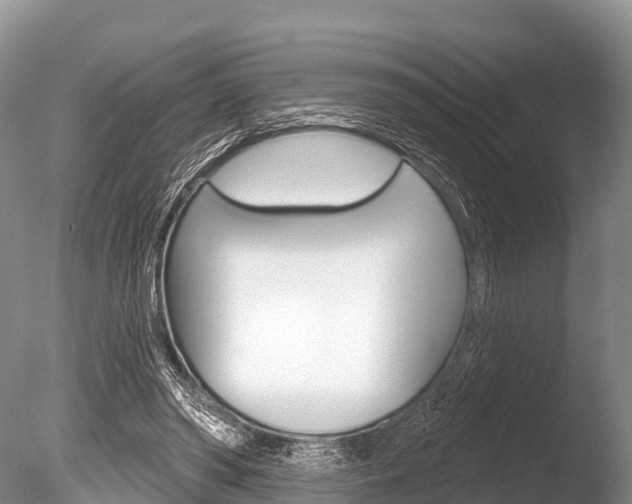 X0000086300398200703300934