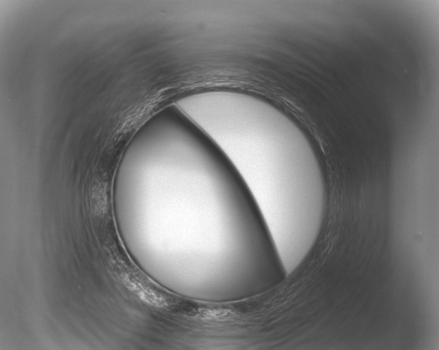 X0000086300401200703300934