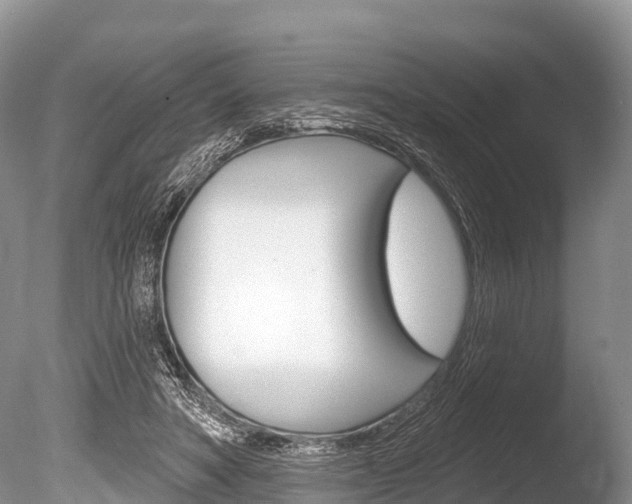 X0000086300402200703300934