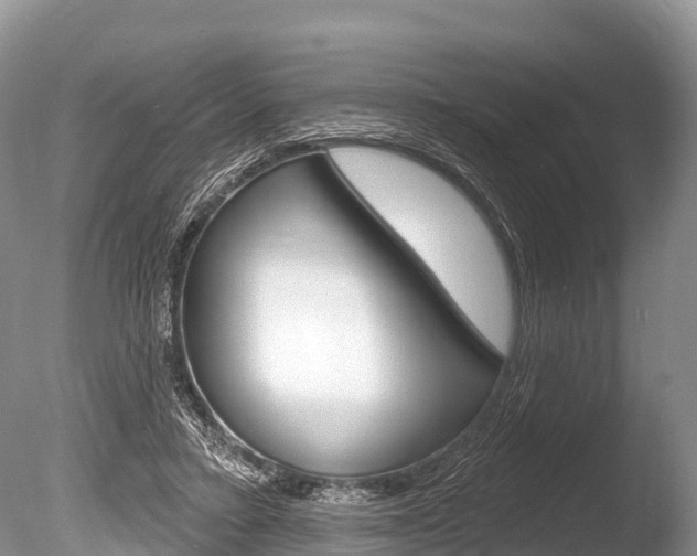 X0000086300403200703300934