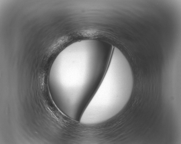 X0000086300404200703300934