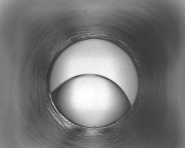X0000086300405200703300934