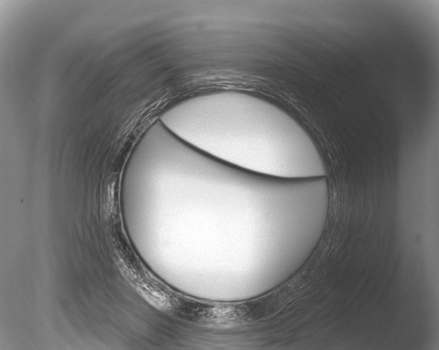 X0000086300406200703300934