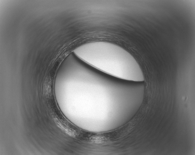 X0000086300408200703300934