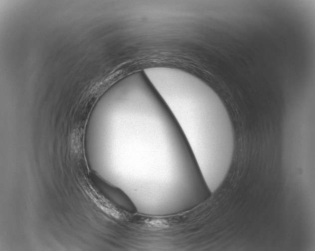 X0000086300409200703300934
