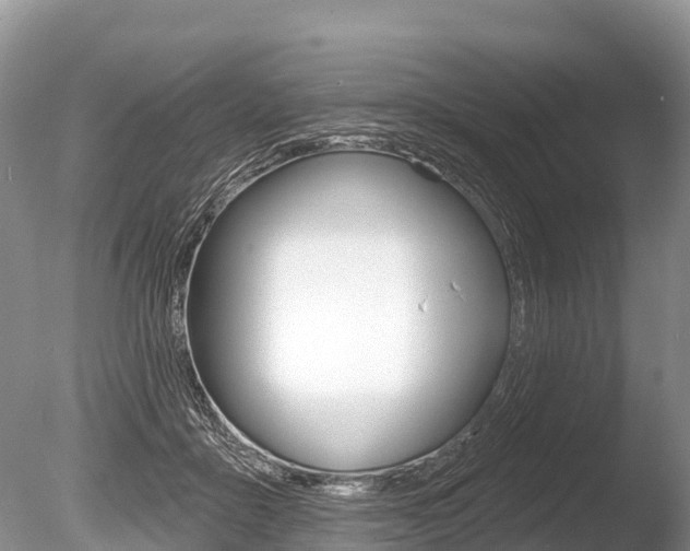 X0000086300411200703300934