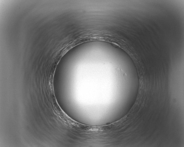 X0000086300415200703300934