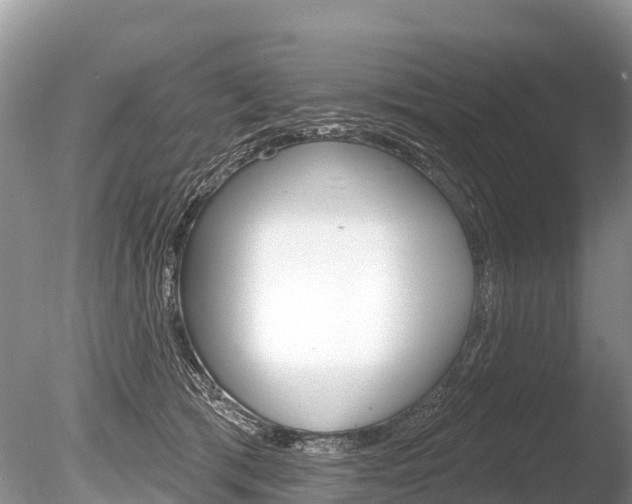 X0000086300417200703300934