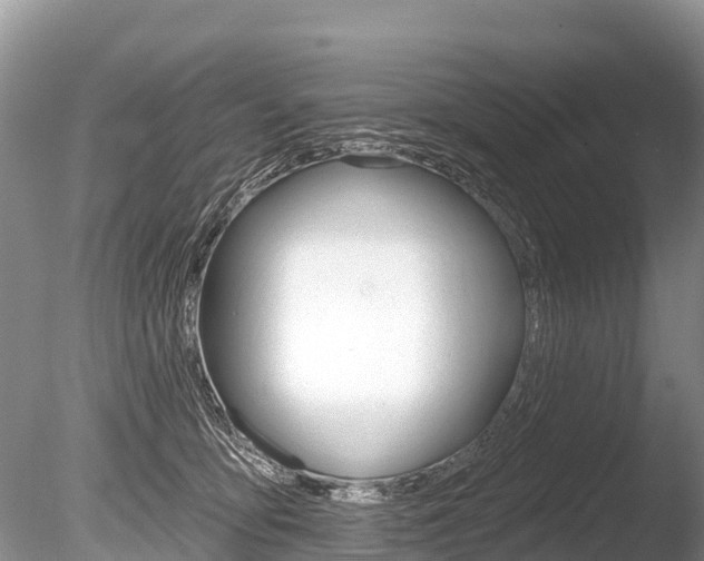 X0000086300419200703300933