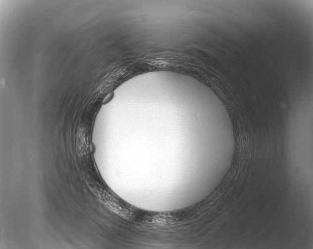 X0000086300420200703300933