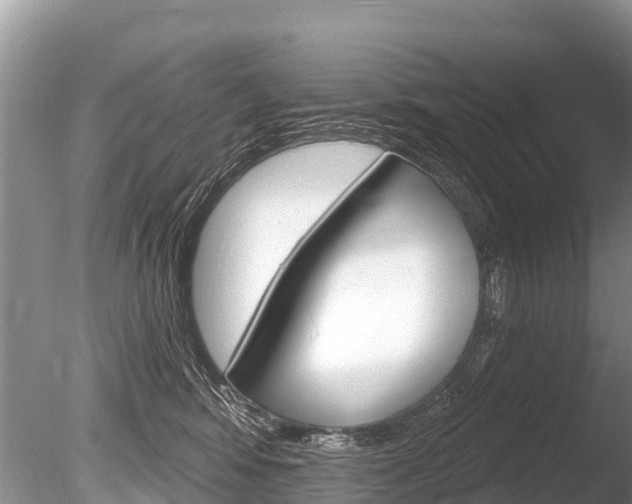 X0000086300424200703300933