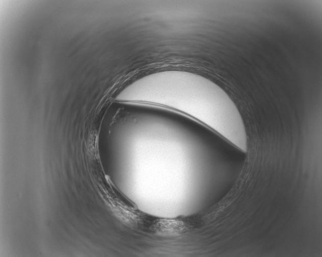 X0000086300429200703300933