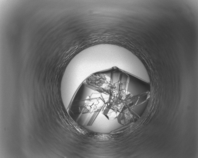 X0000086300432200703300933
