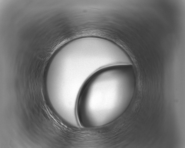 X0000086300434200703300932