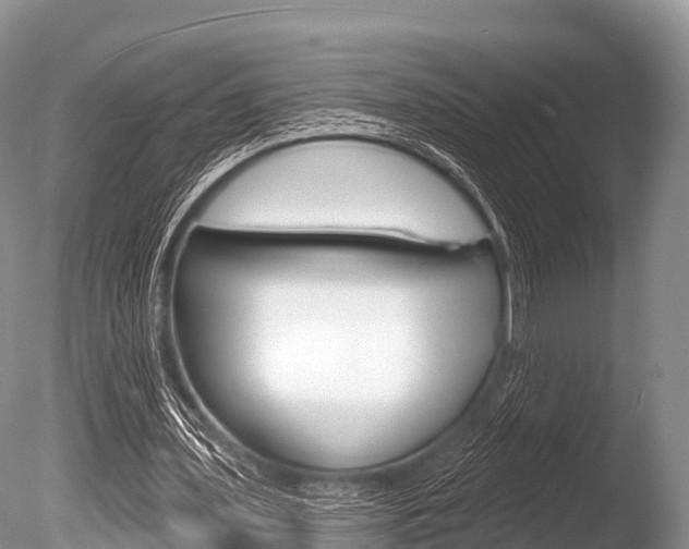 X0000086300435200703300932