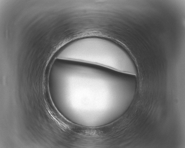 X0000086300439200703300933