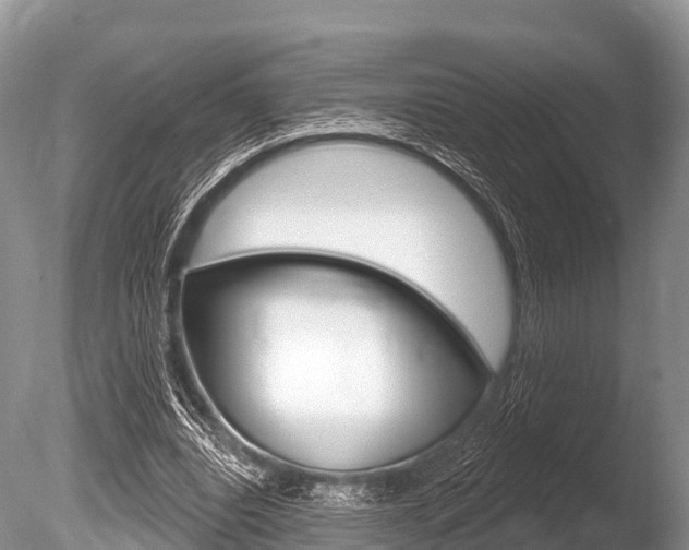 X0000086300440200703300933