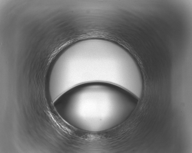 X0000086300442200703300933
