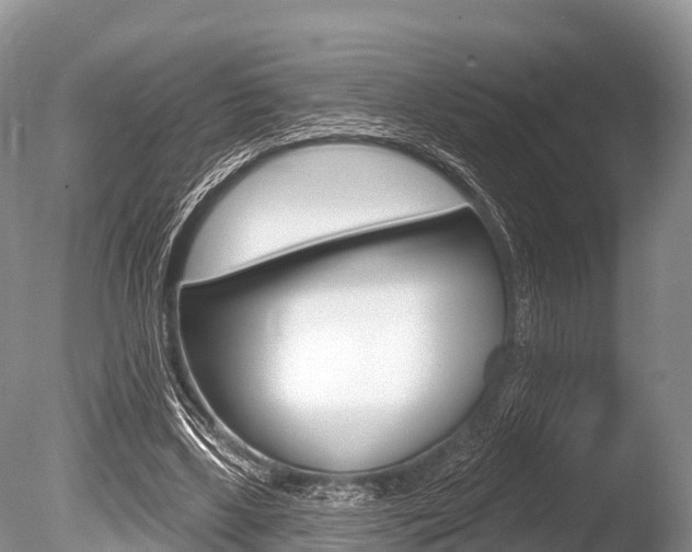 X0000086300443200703300933