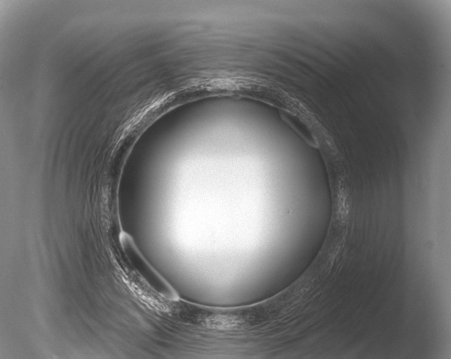 X0000086300444200703300933