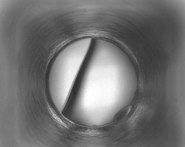 X0000086300445200703300933