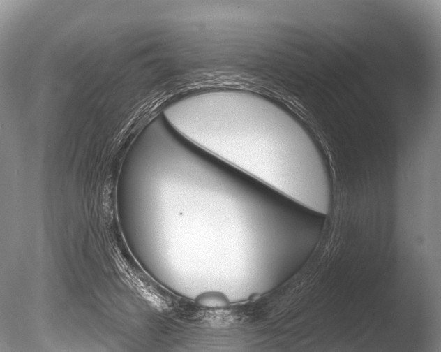 X0000086300449200703300933