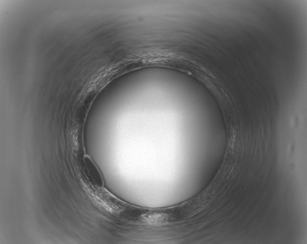 X0000086300452200703300933